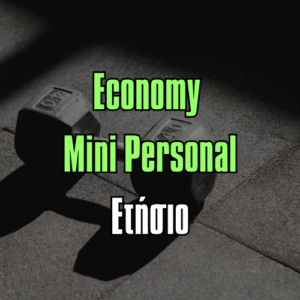 Εconomy Μini Personal Ετήσιο